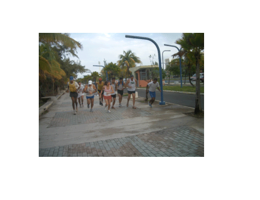 foto1-01-09.gif