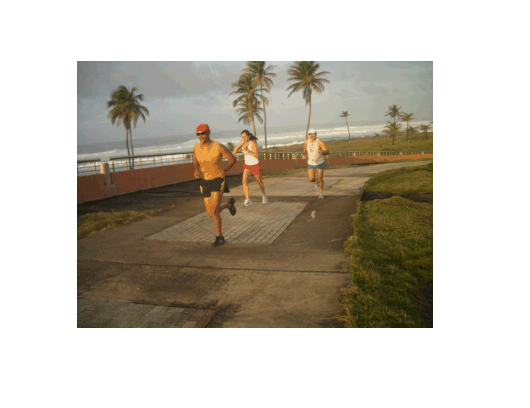 foto3-01-09.gif