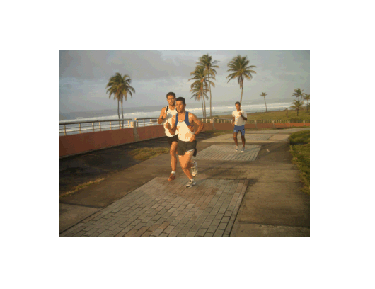 foto4-01-09.gif